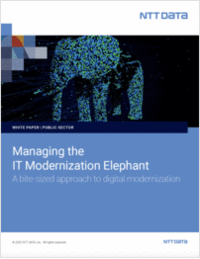 Managing the IT Modernization Elephant