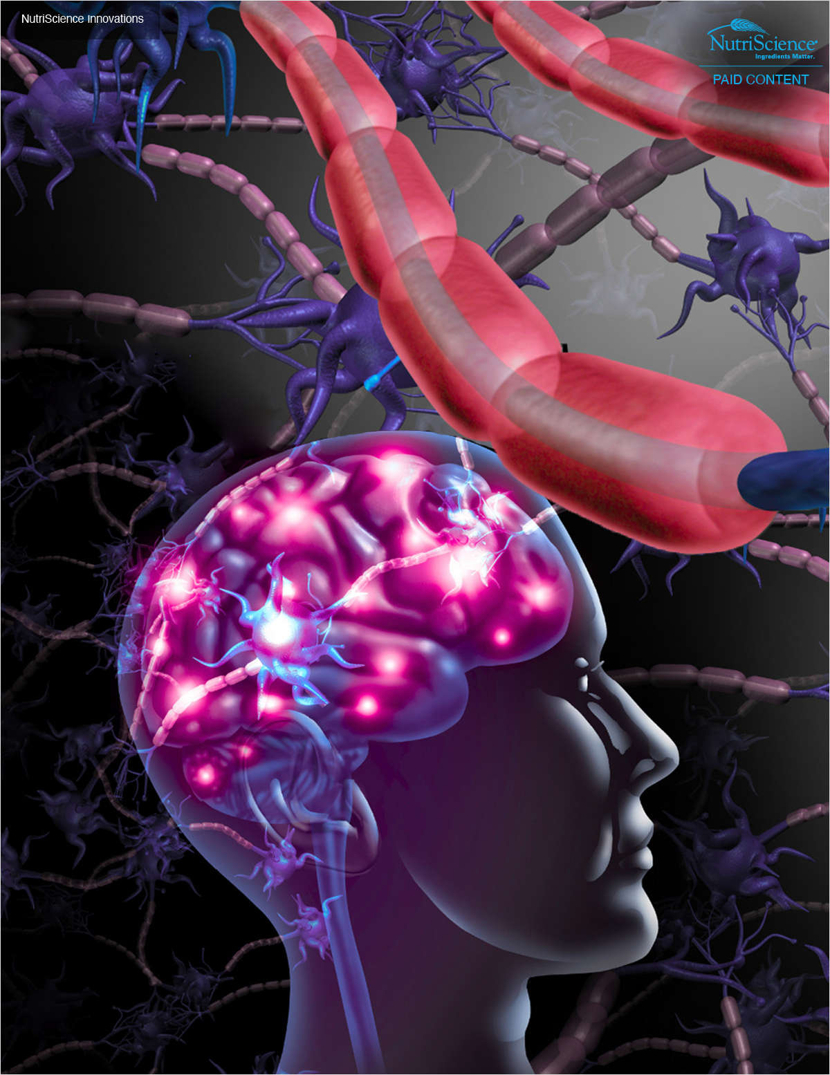 Support for psychological well-being with clinically validated approach to gut-brain pathway