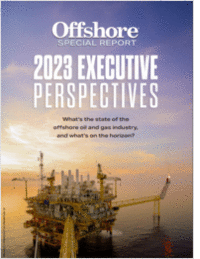 The 2024 Executive Perspectives Special Report