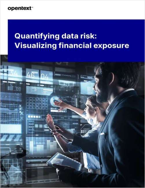 Quantifying Data Risk: A Strategic Approach for Visualizing Financial Exposure