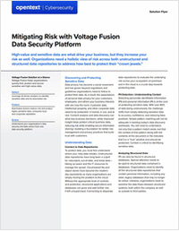 Mitigating Risk with Voltage Fusion Data Security Platform