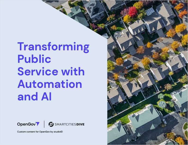The Public Sector Guide to AI and Automation Excellence