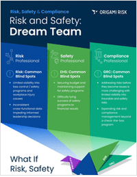 Risk and Safety: Dream Team