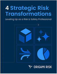 4 Strategic Risk Transformations