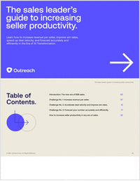 Sales Leader's Guide to Increasing Seller Productivity: Maximize Every Seller's Impact and Drive Revenue Efficiently with AI