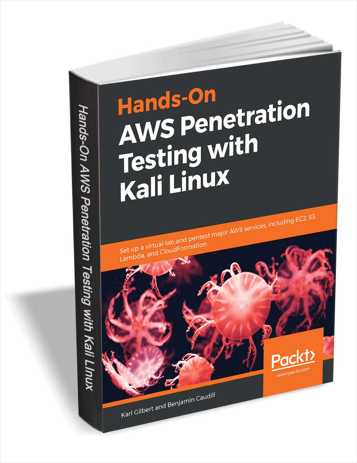 AWS Testing with Kali Linux Free Sample Chapters Free
