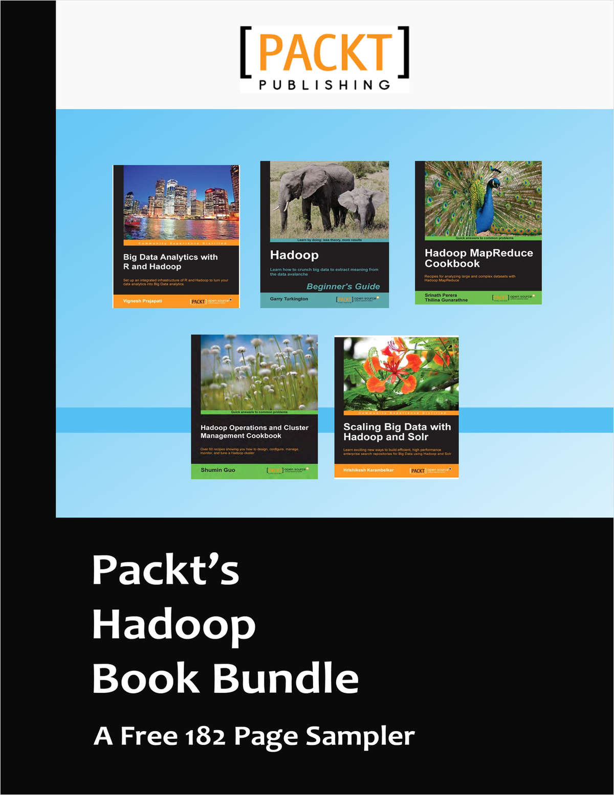 Packt's Hadoop Book Bundle -- A Free 182 Page Sampler