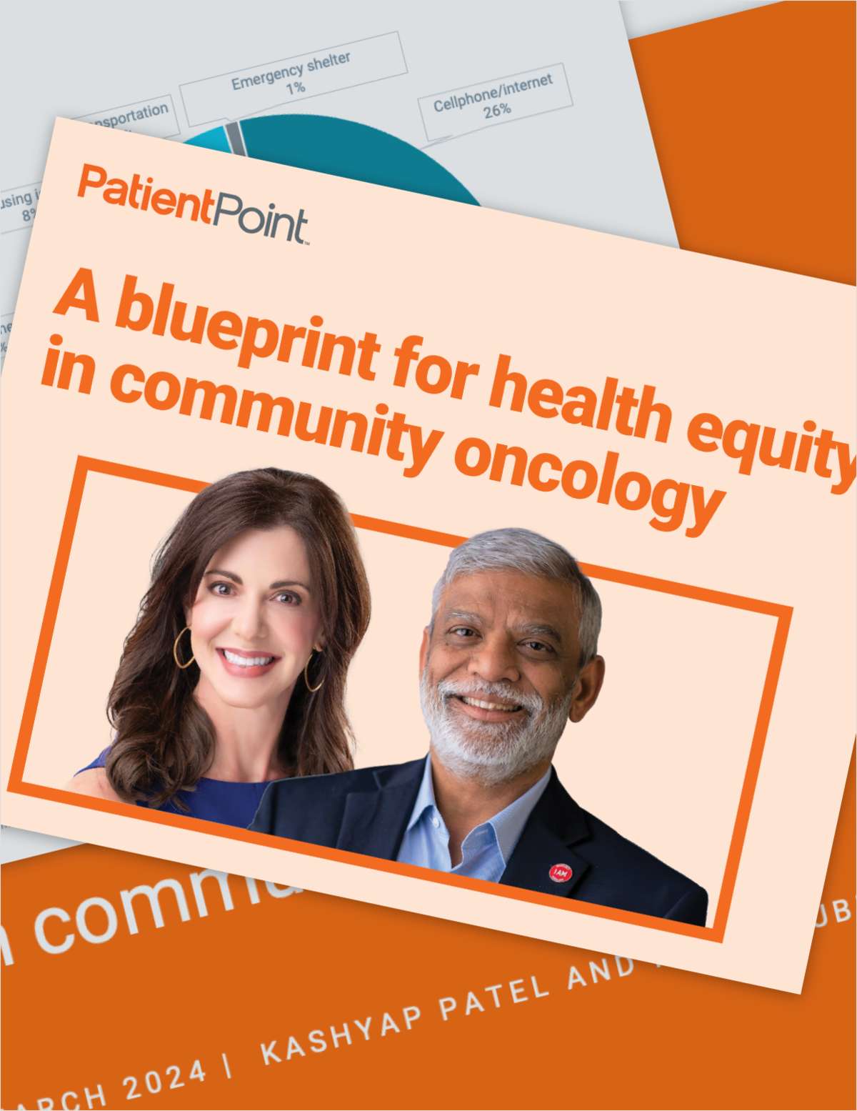 A blueprint for health equity: foundational insights from industry experts