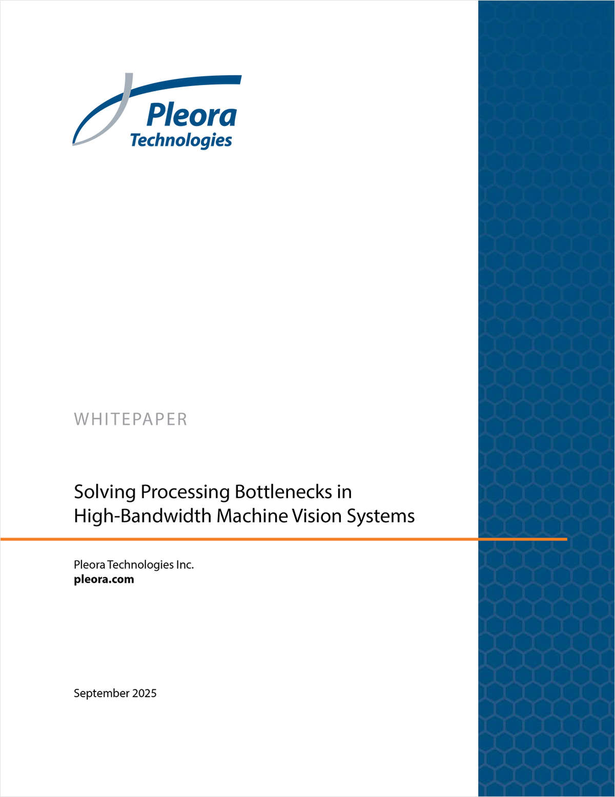 Solving Processing Bottlenecks in High-bandwidth Machine Vision Systems