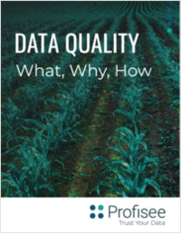 The What, Why and How of Data Quality