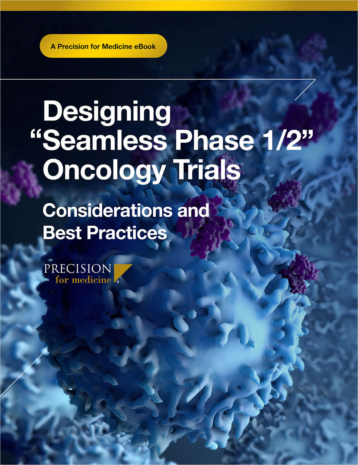 Designing 'Seamless Phase 1/2' Oncology Trials - Considerations and Best Practices