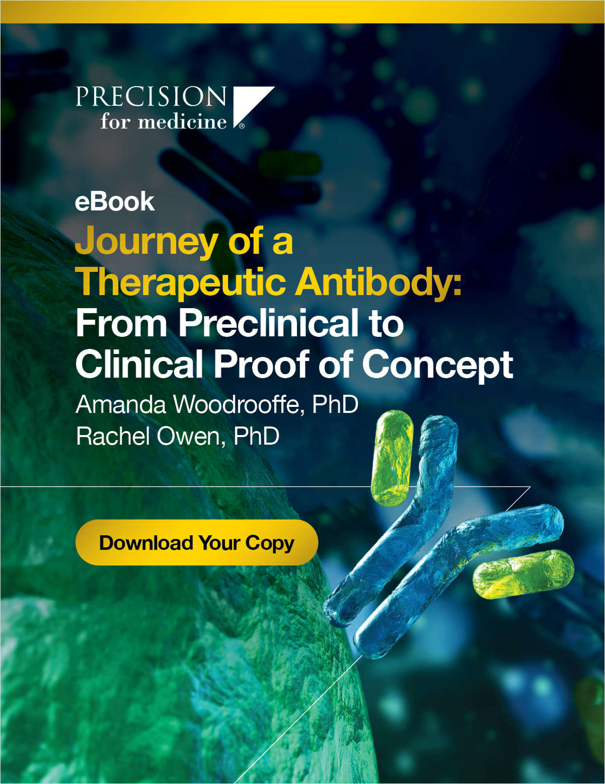Journey of a Therapeutic Antibody: From Preclinical to Clinical Proof of Concept Development