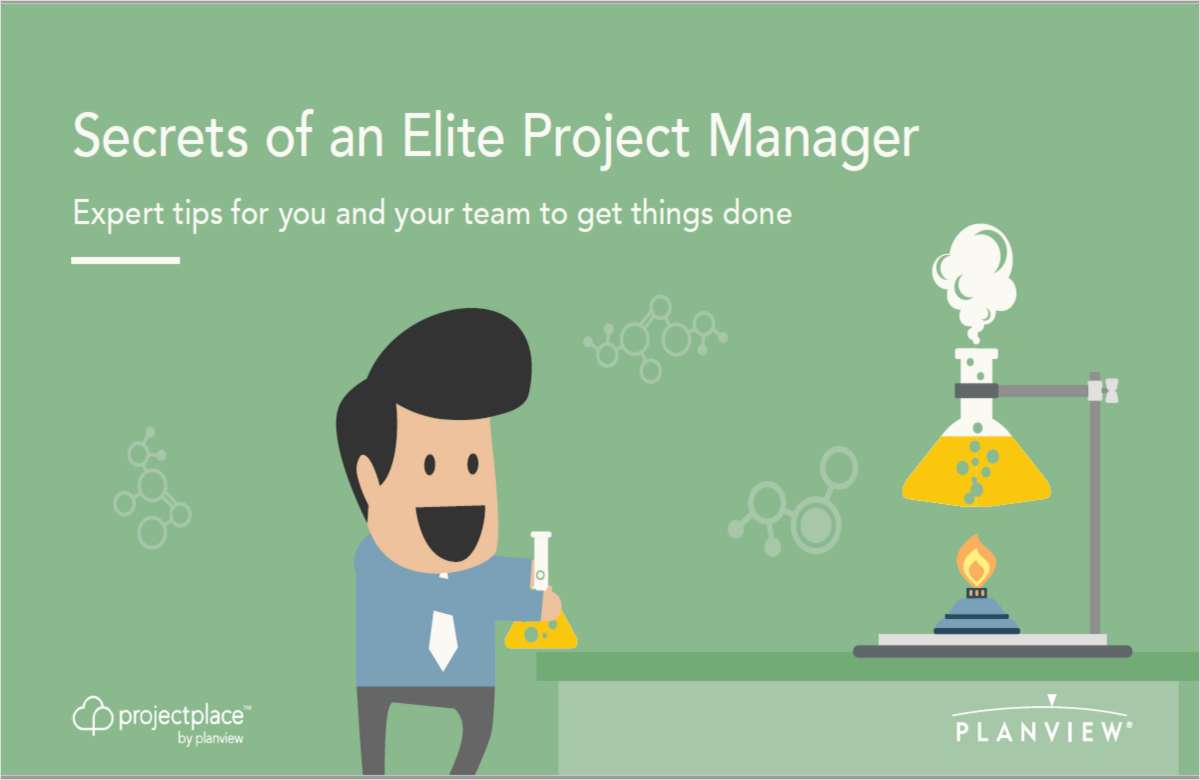 Secrets of an Elite Project Manager