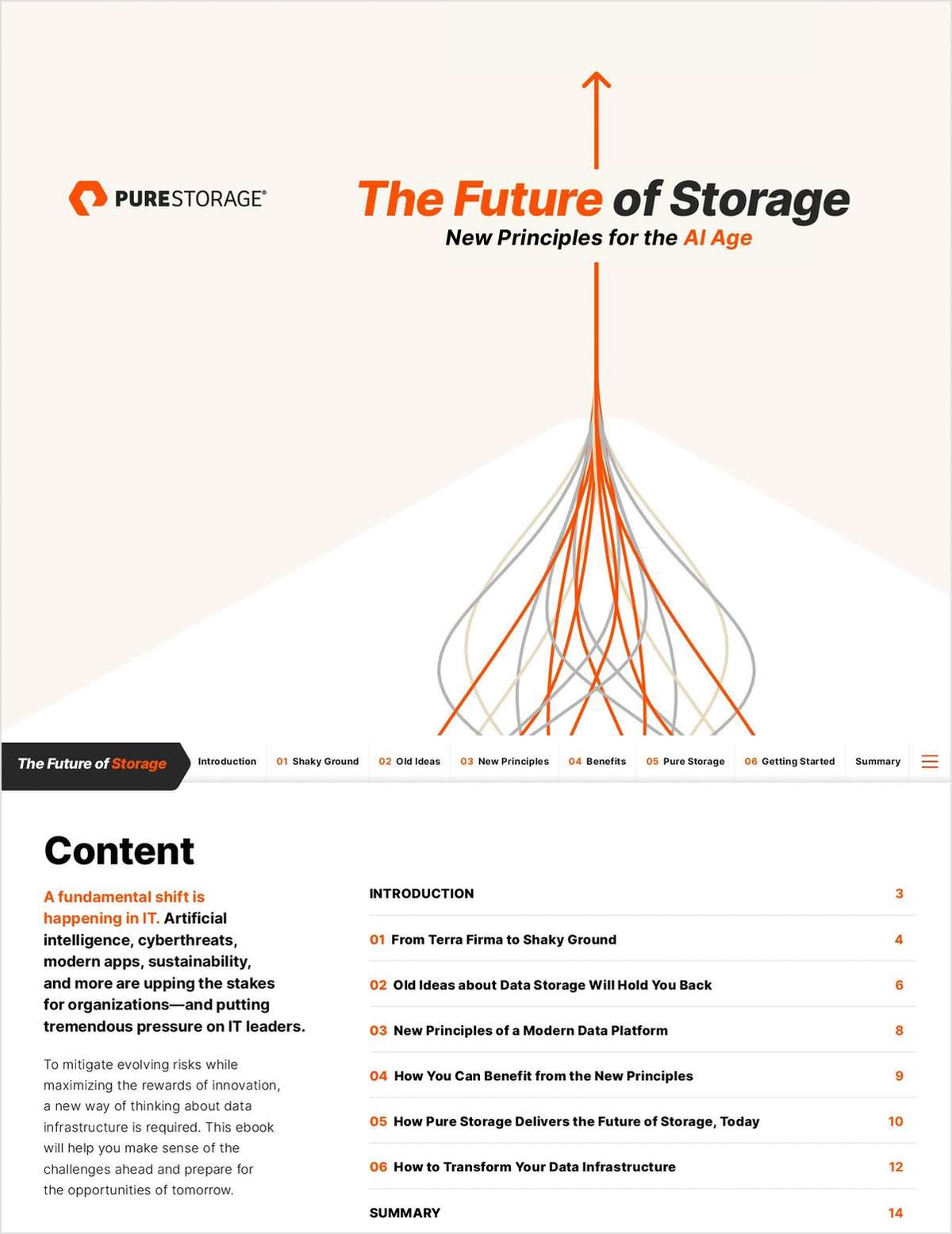 The Future of Storage: New Principles for the AI Age