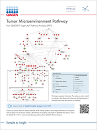 Tumor Microenvironment Pathway