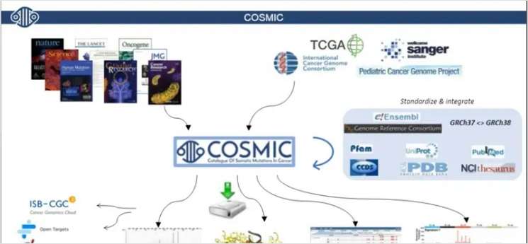 COSMIC: Describing Millions of Somatic Mutations at High Resolution Across Forms of Cancer Underpins Precision Oncology Research