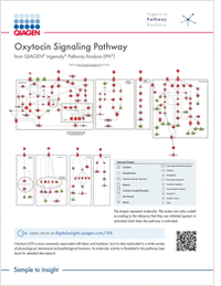 Oxytocin Signaling Pathway
