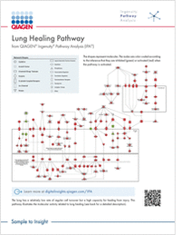 Lung Healing Pathways