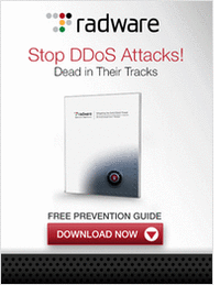 Mitigating the DDoS Threat