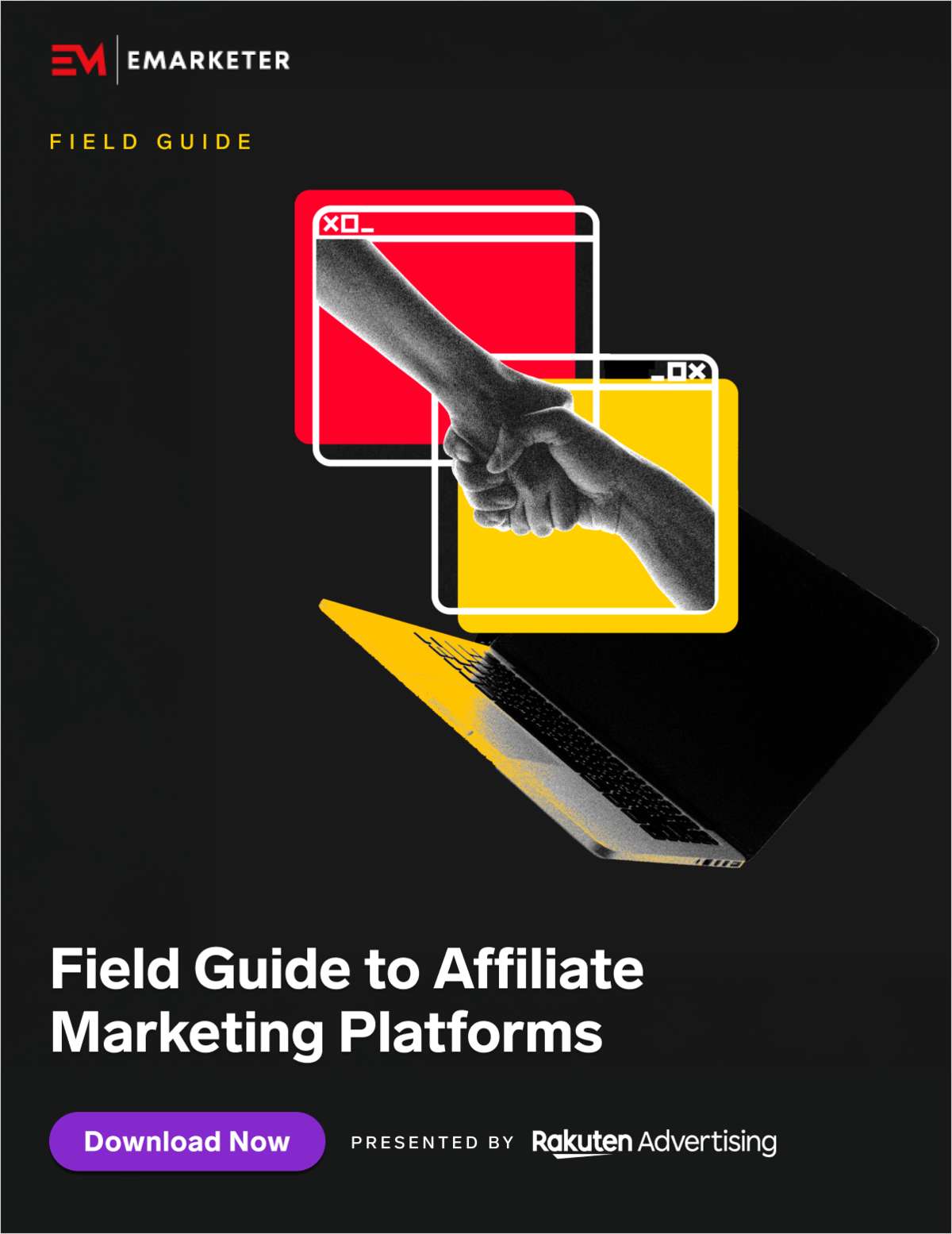 EMARKETER Field Guide to Affiliate Marketing Platforms