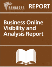 Business Online Visibility and Analysis Report