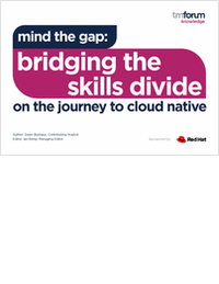 Mind The Gap: Bridging the Skills Divide on the Journey to Cloud-Native
