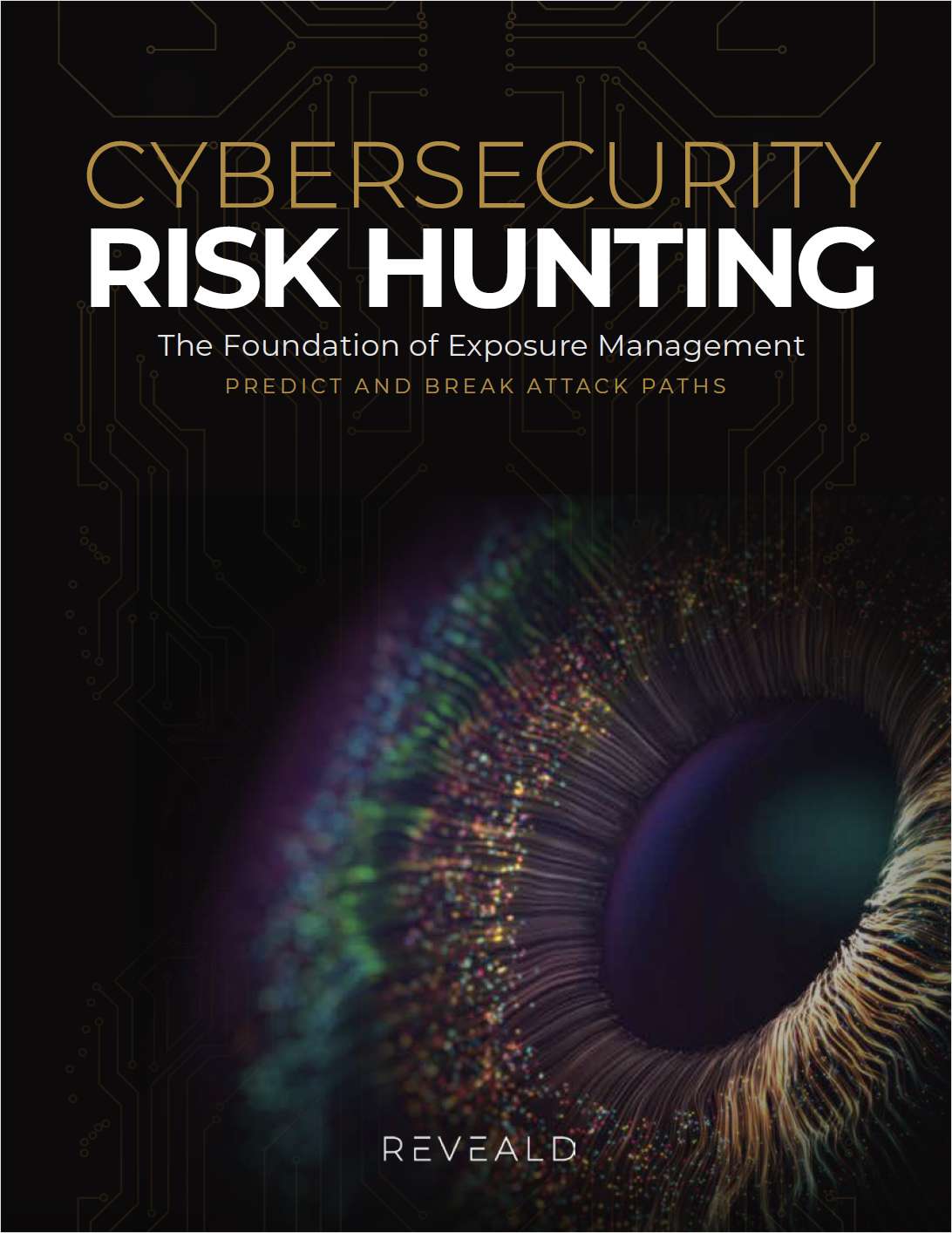 Cybersecurity Risk Hunting