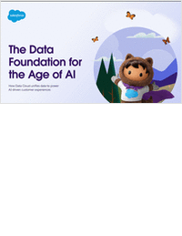 The Data Foundation for the Age of AI