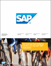 Fast and Low-Cost Analytics Solutions for the SAP® ERP Application
