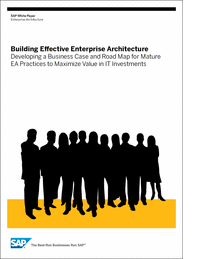 Building Effective Enterprise Architecture