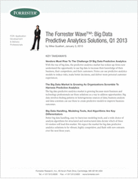 The Forrester Wave™: Big Data Predictive Analytics Solutions, Q1 2013