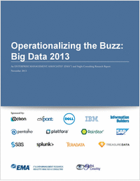 Operationalizing the Buzz: Big Data 2013