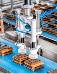 Delica Optimizes Cookie Packaging with Schubert Innovation