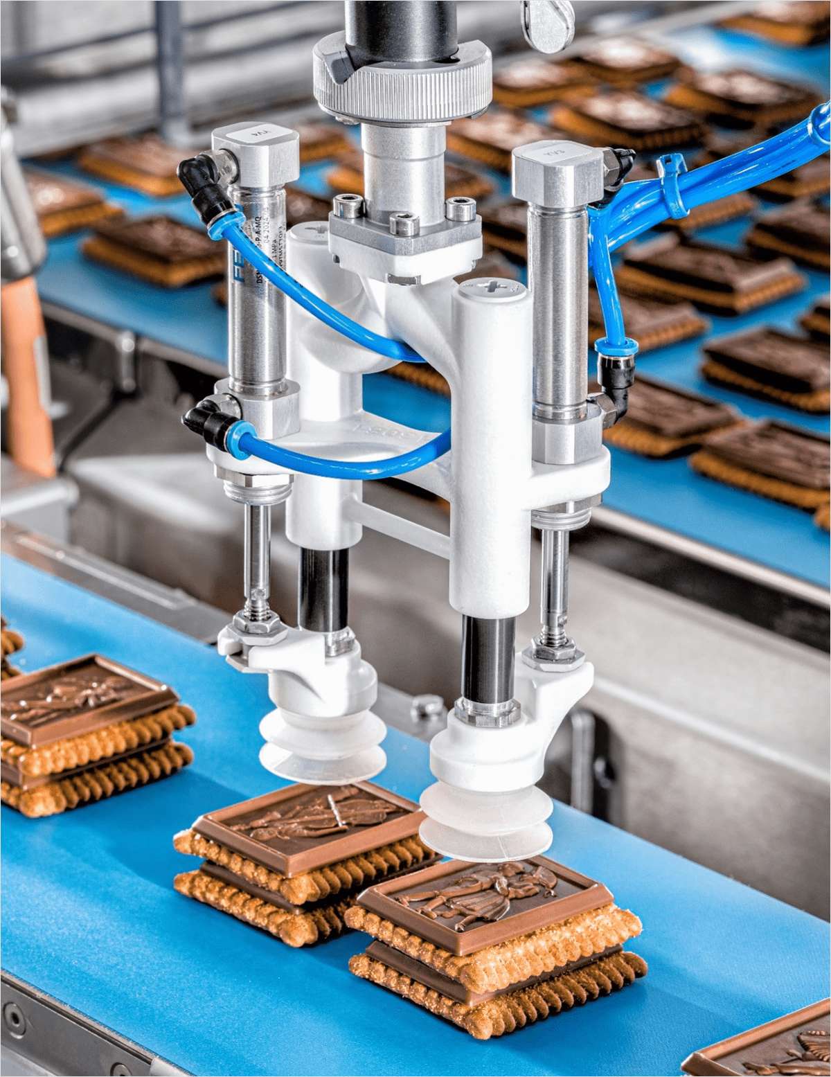 Delica Optimizes Cookie Packaging with Schubert Innovation