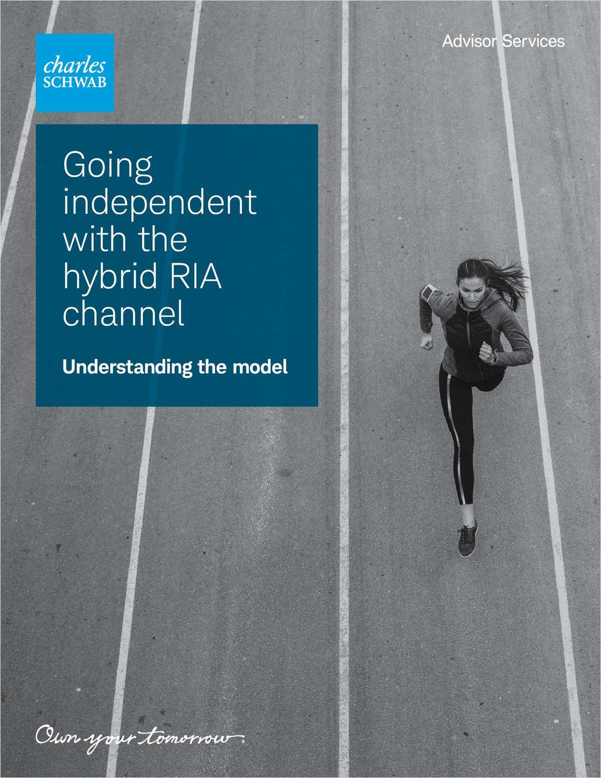 Discovering the Hybrid RIA Model