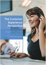 CORINIUM: The Customer Experience Perspective