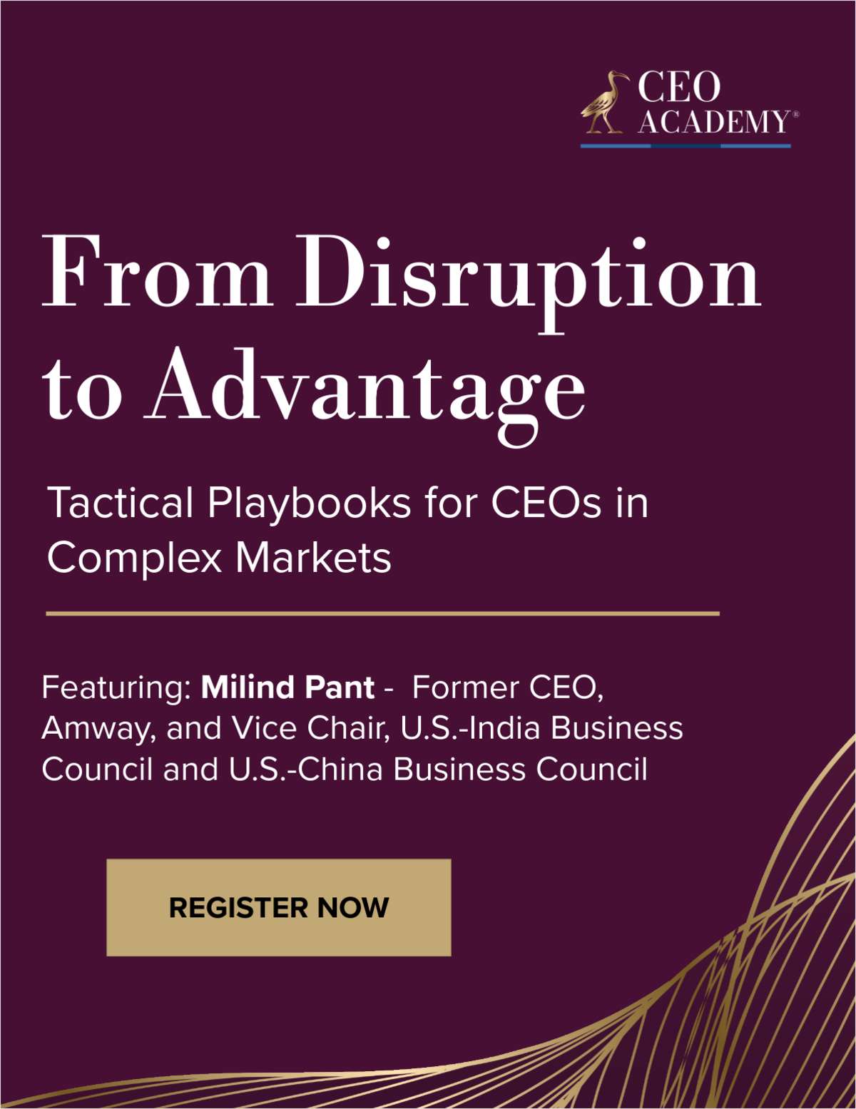 From Disruption to Advantage: Tactical Playbooks for CEOs in Complex Markets