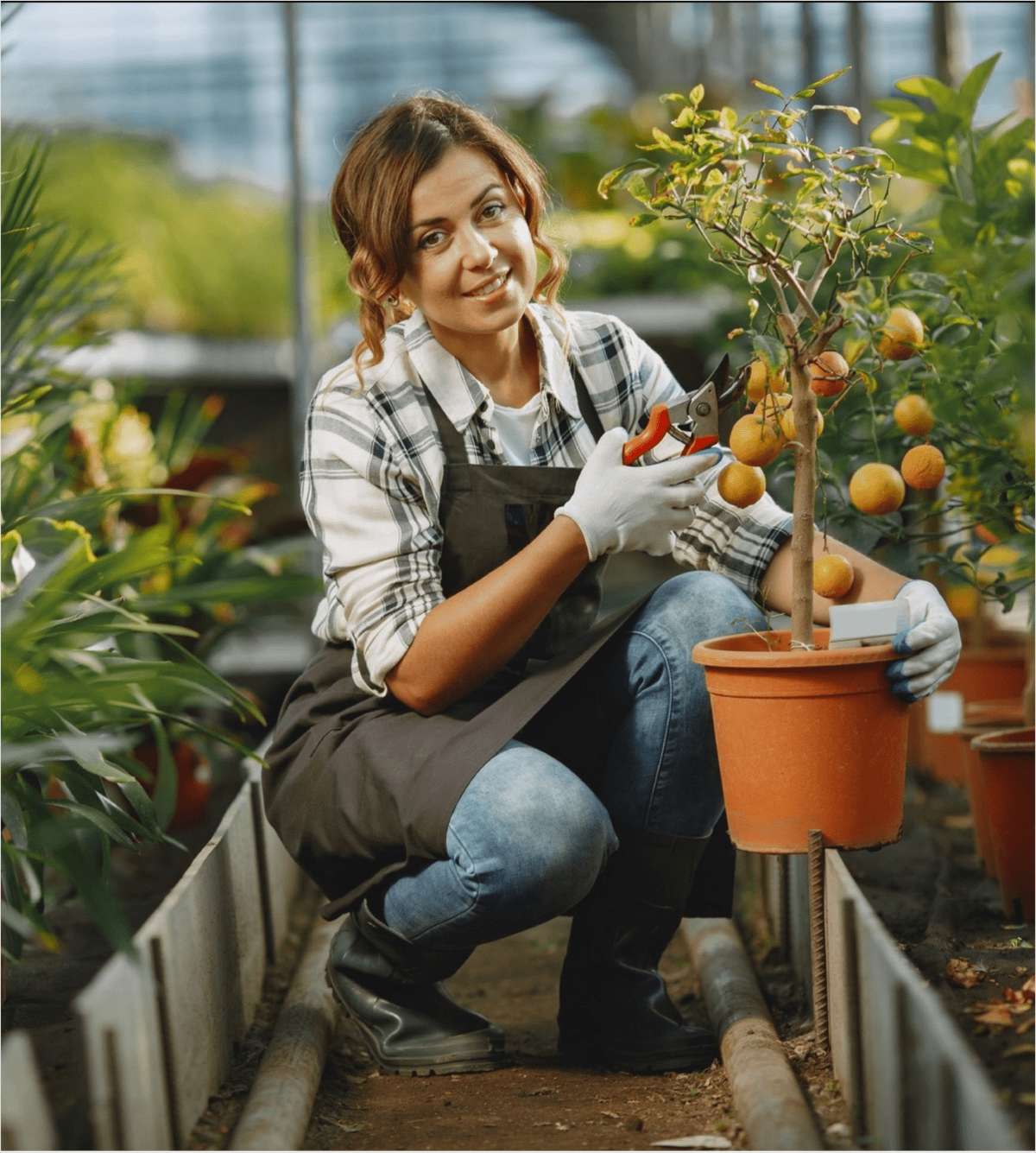 Spinal cord injury case study 70 picture