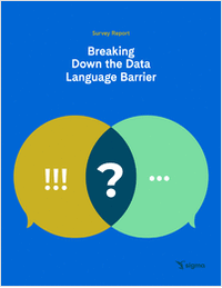 Survey Report: The Data Language Barrier
