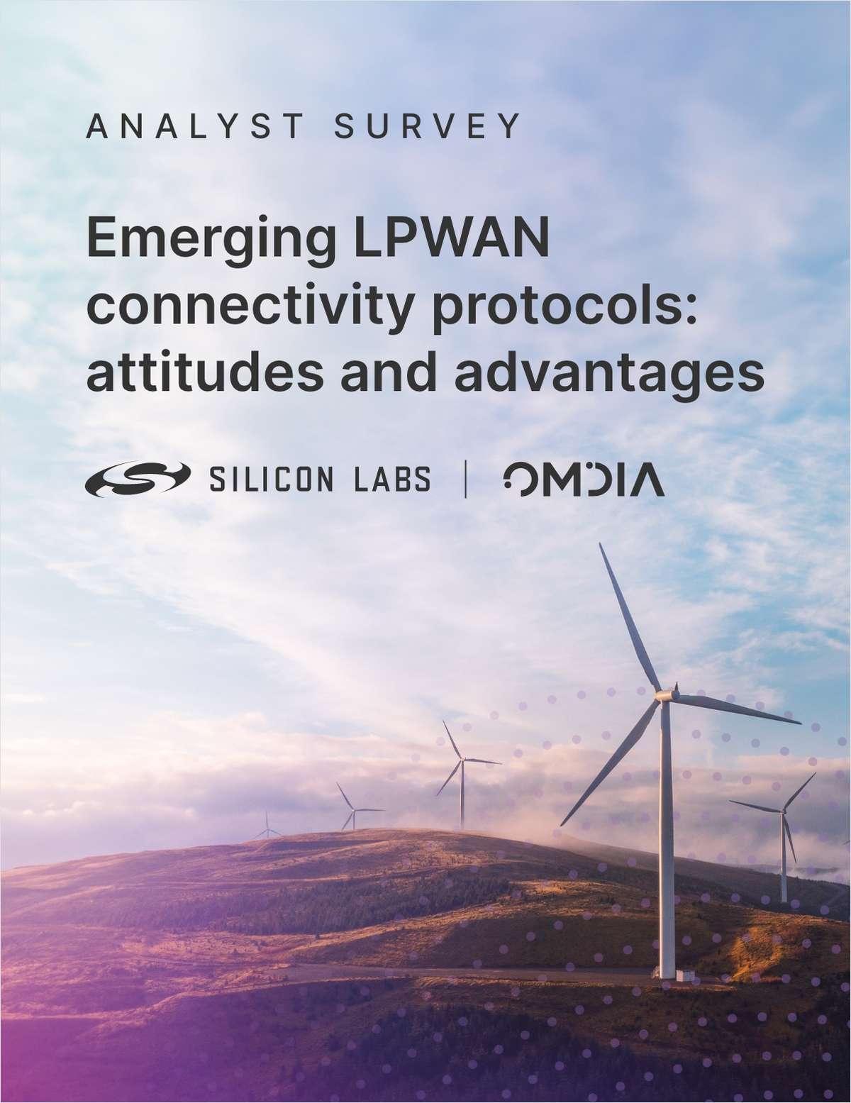 Divergence and Convergence in Emerging LPWAN Connectivity Protocols: Attitudes and Advantages