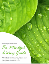 The Mindful Living Guide
