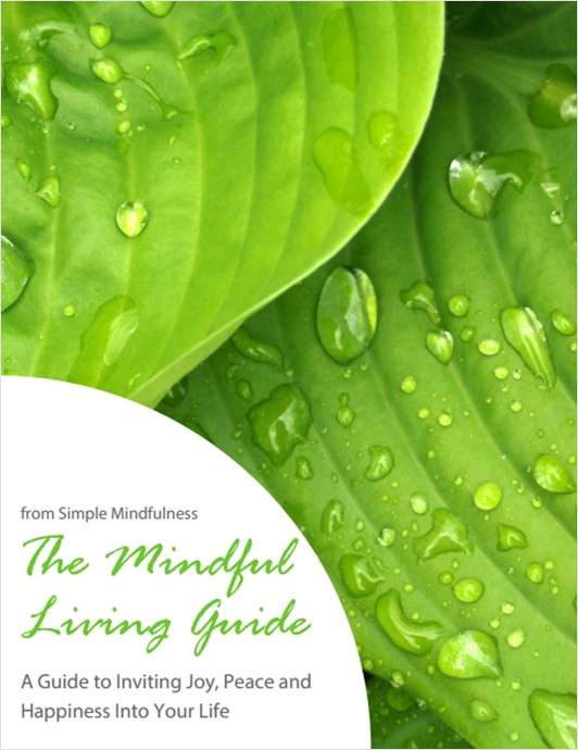 The Mindful Living Guide
