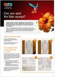 Can You Spot The Fake Receipt?