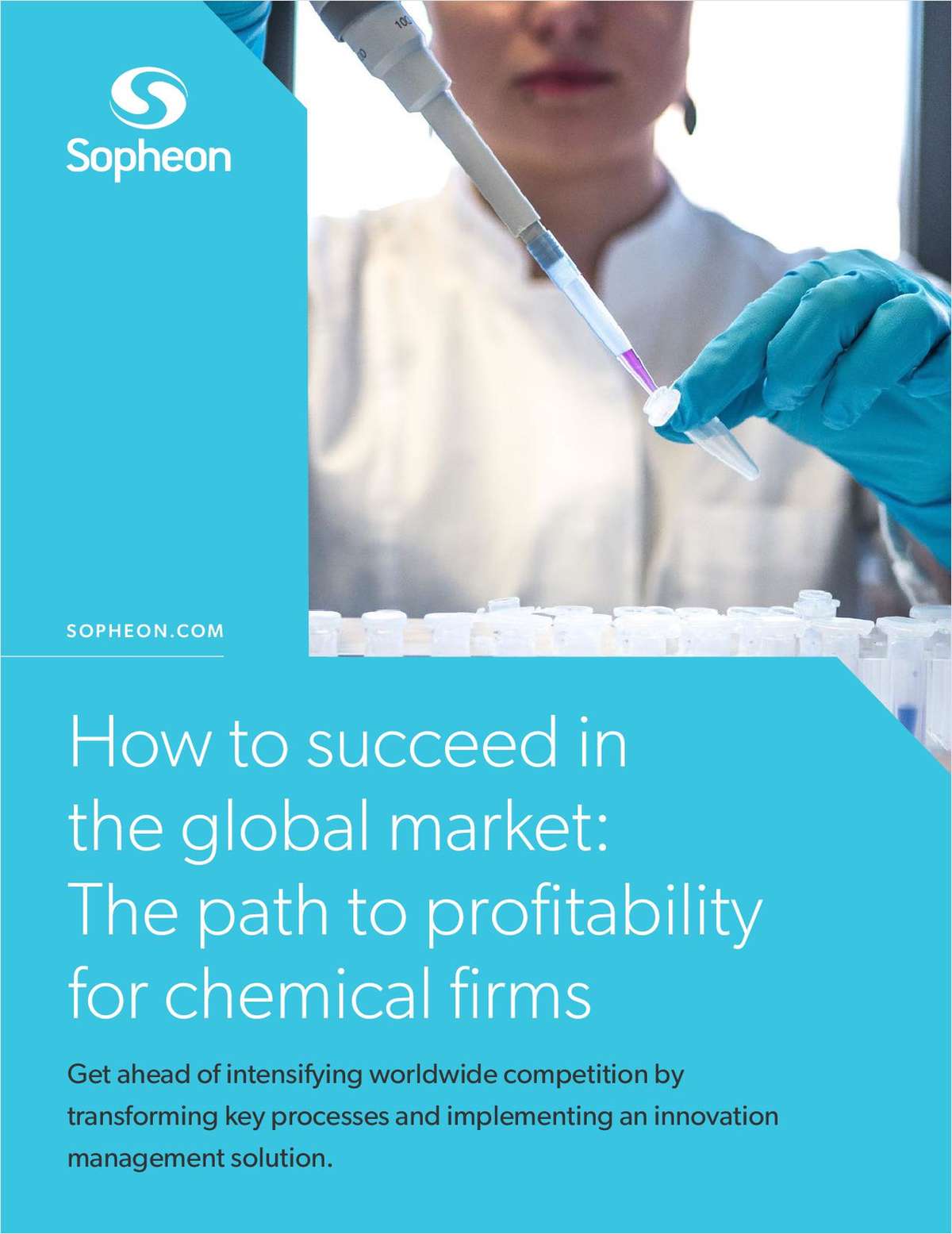 How to succeed in the global market: The path to profitability for chemical firms