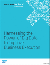 Harnessing the Power of Big Data to Improve Business Execution