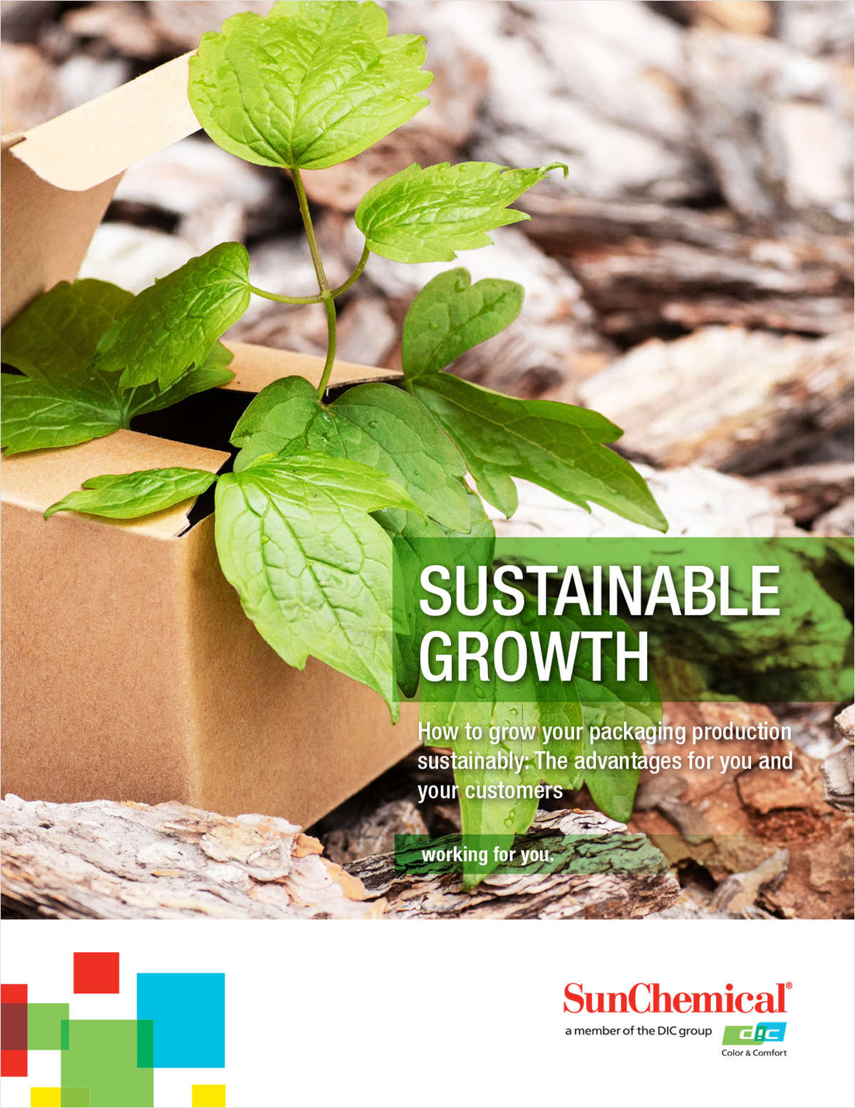The Path to Sustainable Growth