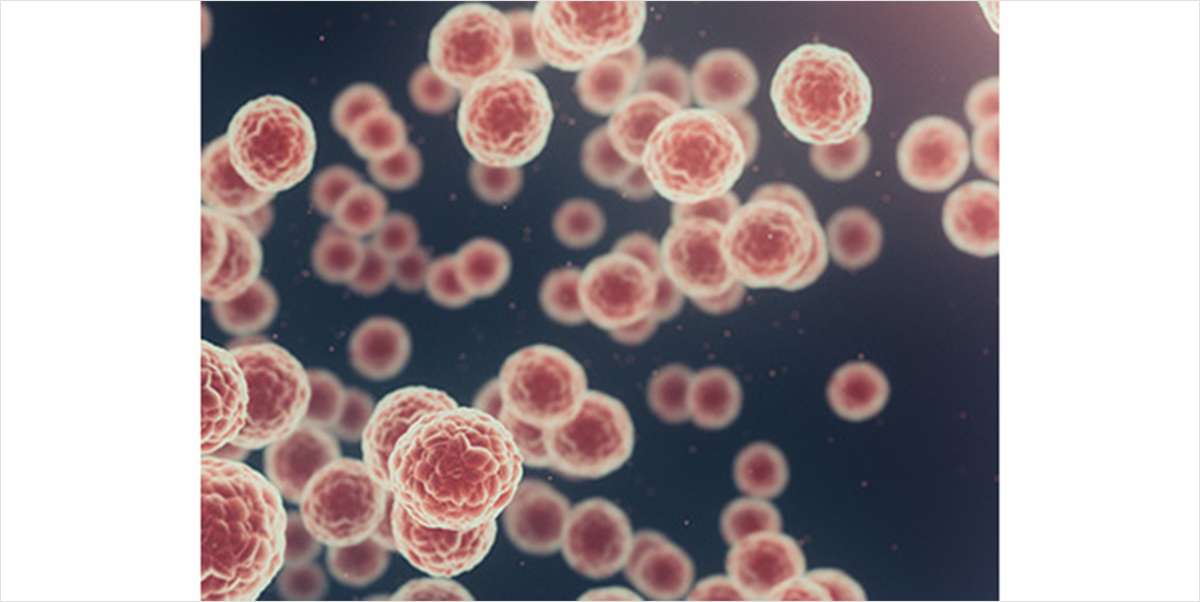 Characterize Crucial Mutation Events in Cancers with Unmatched Scale and Sensitivity