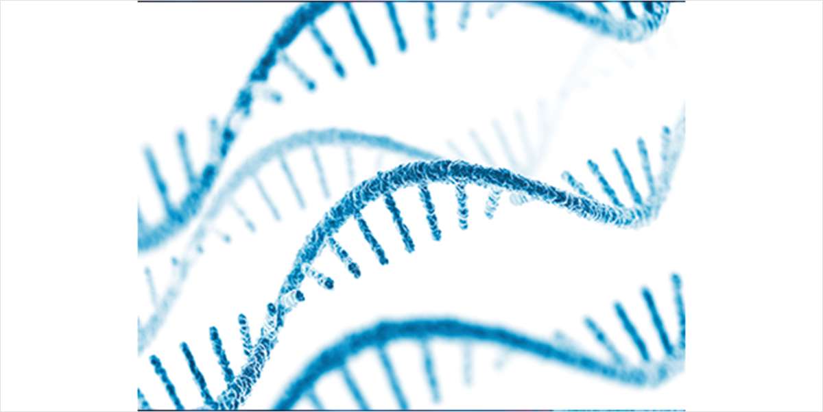 A Novel High-Throughput Method for Single-Cell Alternative Splicing Analysis
