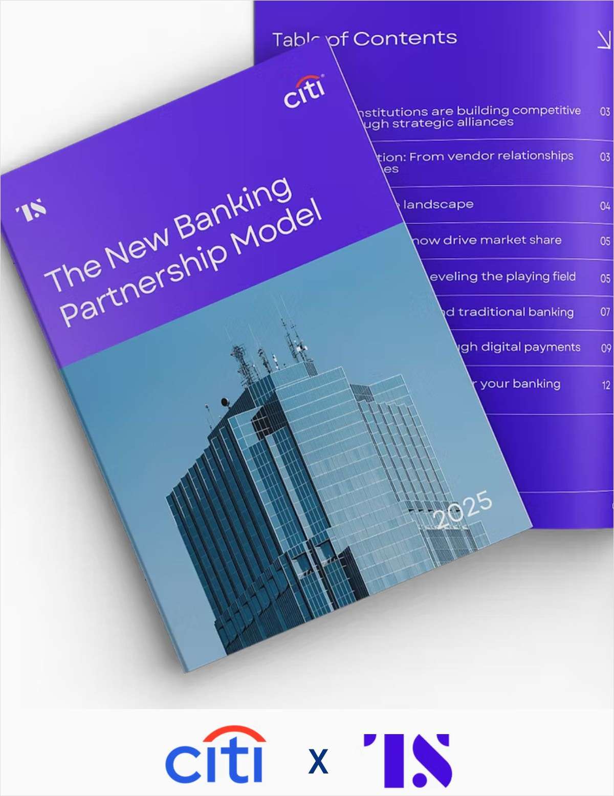 The New Banking Partnership Model