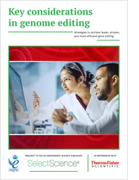 Key Considerations in Genome Editing